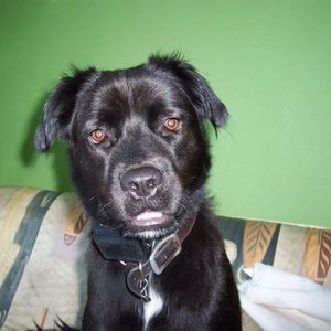 Meet your Posher, Chris